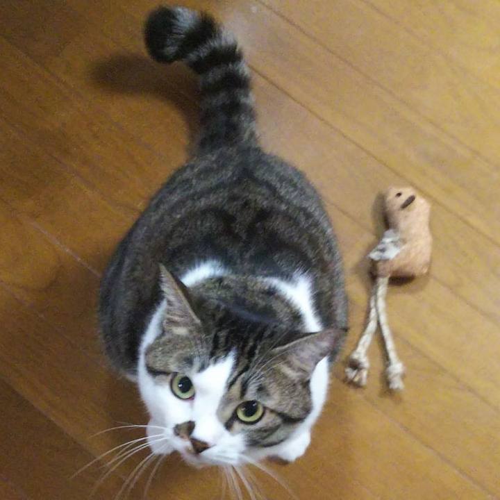 A1187a2e e4d7 4685 9830 6288022e8110 1664105145509