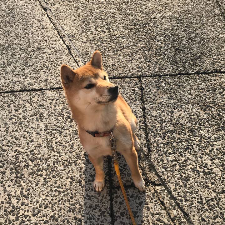 A11887d5 24df 4e68 add0 bc7f2c6efe5b 1561547010101