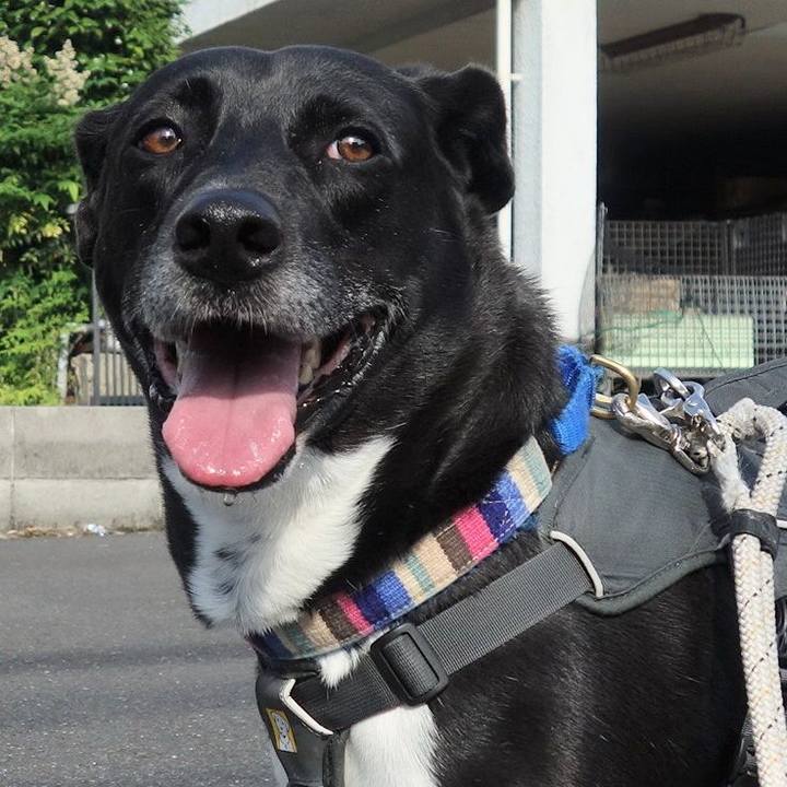 A118c28c 0340 45f6 9ac4 8efa47016832 1654214547456