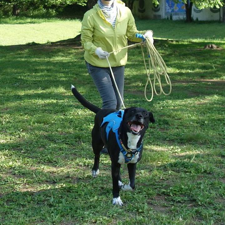 A118c4ea e724 4787 87a6 412c0bd3650c 1619483915426