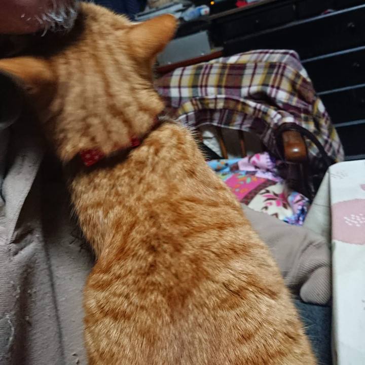 A119065c d557 4162 9864 033b7dca228d 1577305579253