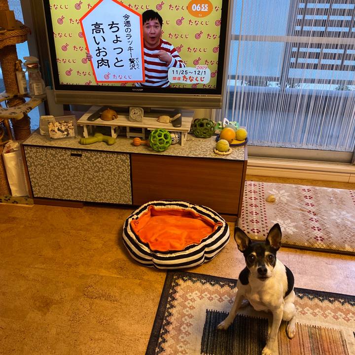 A119368b ffad 440e 98af 5a8e16d1fa8d 1574633019578