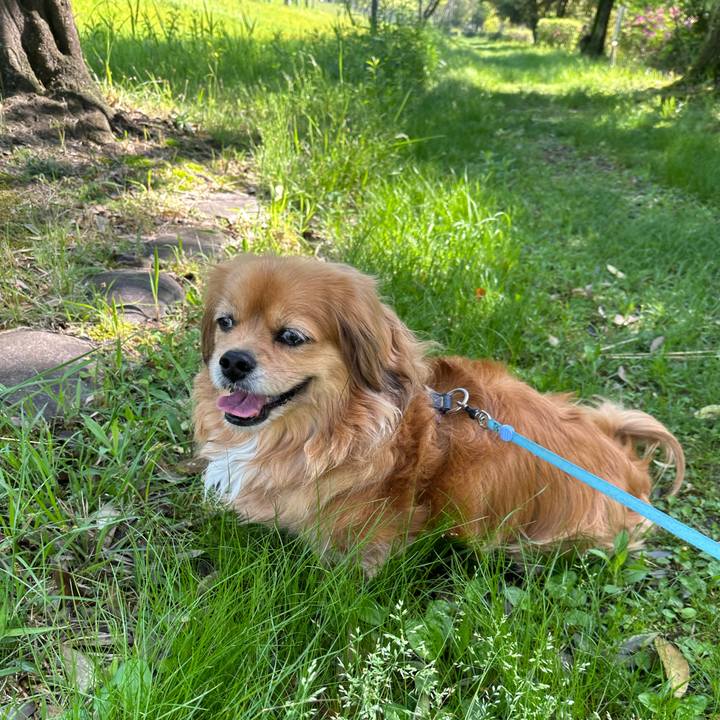 A119677a 9f84 4d17 9e8b 5291abb6193c 1714272952777