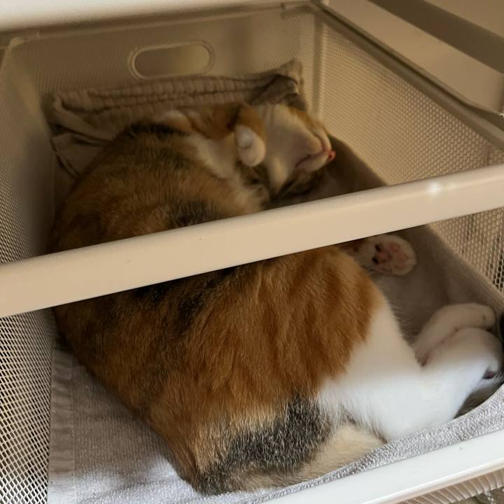 A1198607 6c0c 4f99 86e5 31d070b27959 1693226984352