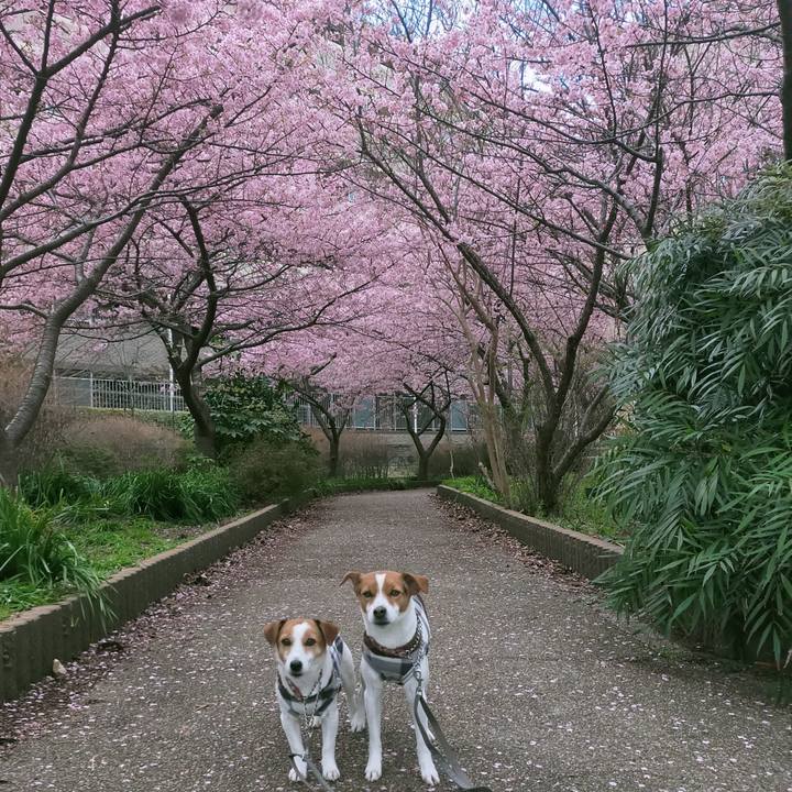 A119c789 f046 414b abf2 5161d689877b 1772089701422