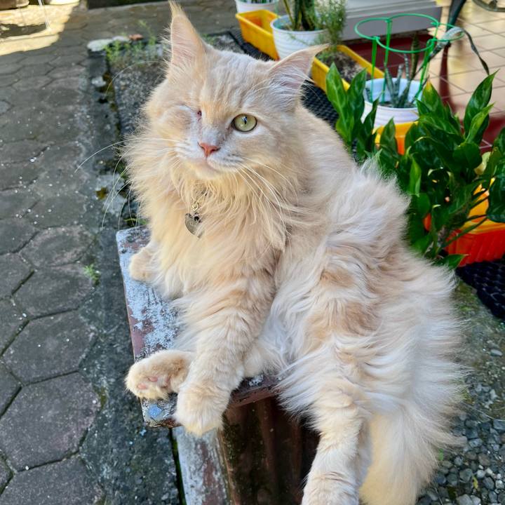 A119de11 bf41 4662 92e7 2091167366db 1763300044670