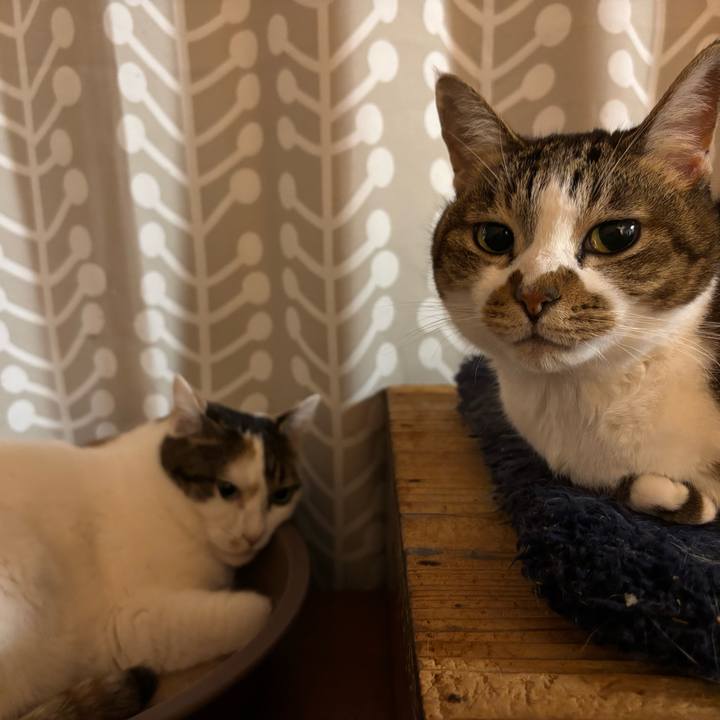 A119f3e6 7a7a 40f1 8840 c75afe7a7900 1772196437906