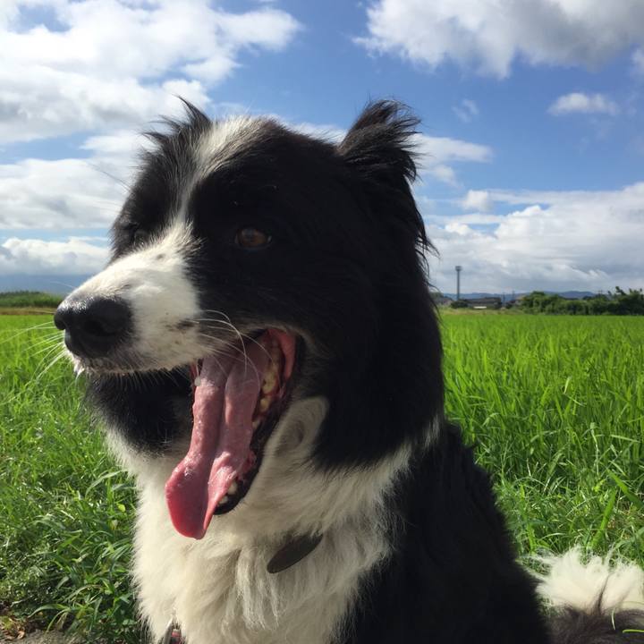 A11a1b2e 07b1 4953 88b8 b44aae469476 1564446467573