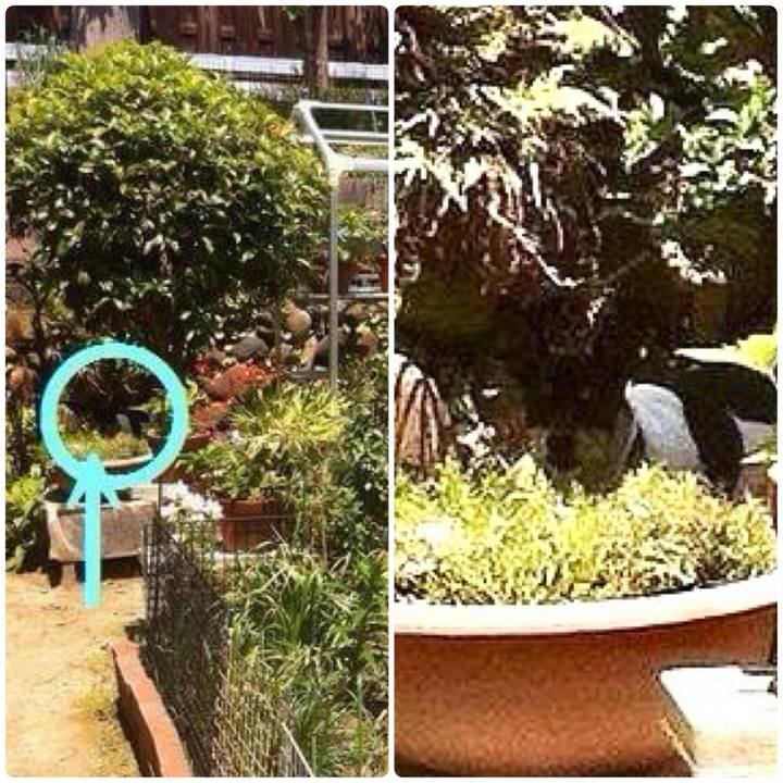 A11a54fe 69c1 460b b062 16c83f9c7bc2 1715081223132