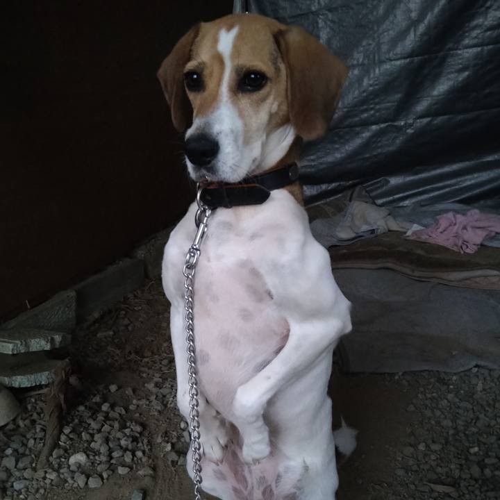 A11a6079 7b85 4e84 92b5 771288eaf051 1636033825430