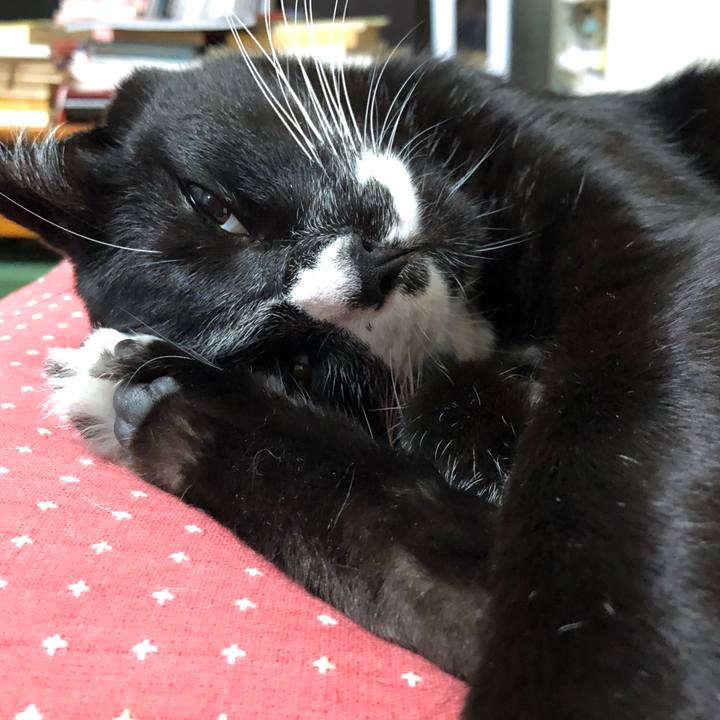 A11a76de 14ae 4fc3 9fc0 b2b4314cefe1 1632281903724