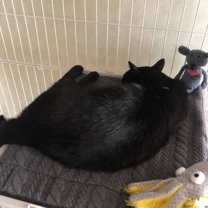 A11a8aca fe50 499b 8e29 c2f04e4f8f21 1557642509957