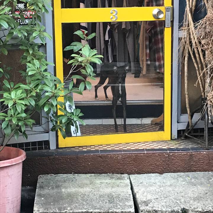 A11ad429 b825 4c50 9f0c c9c6109f2edb 1538118766761