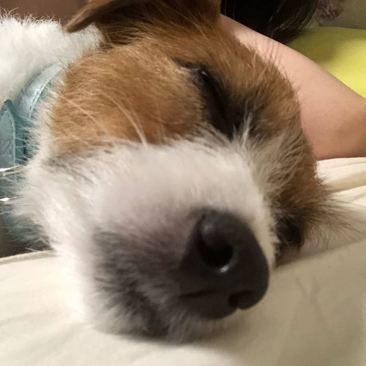 A11ad9df 8ad5 4be6 b2eb c2444d9c1c90 1534057272064