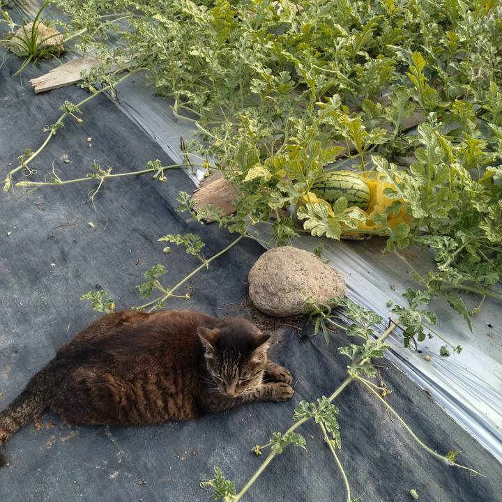 A11b098b 12bd 4745 a96e 0d6bc93c2b58 1752225828978