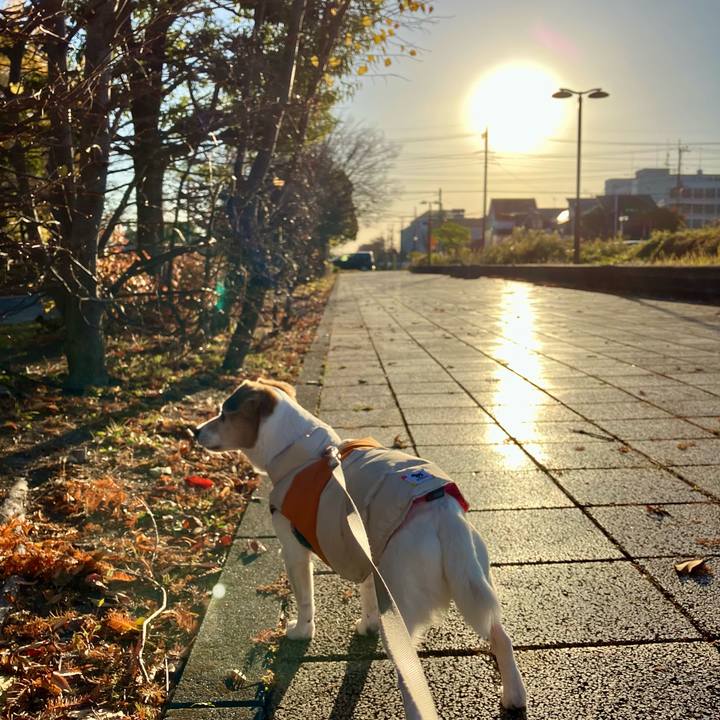 A11b237e 4292 4b0d 9d8a 676136939b6b 1701214614519