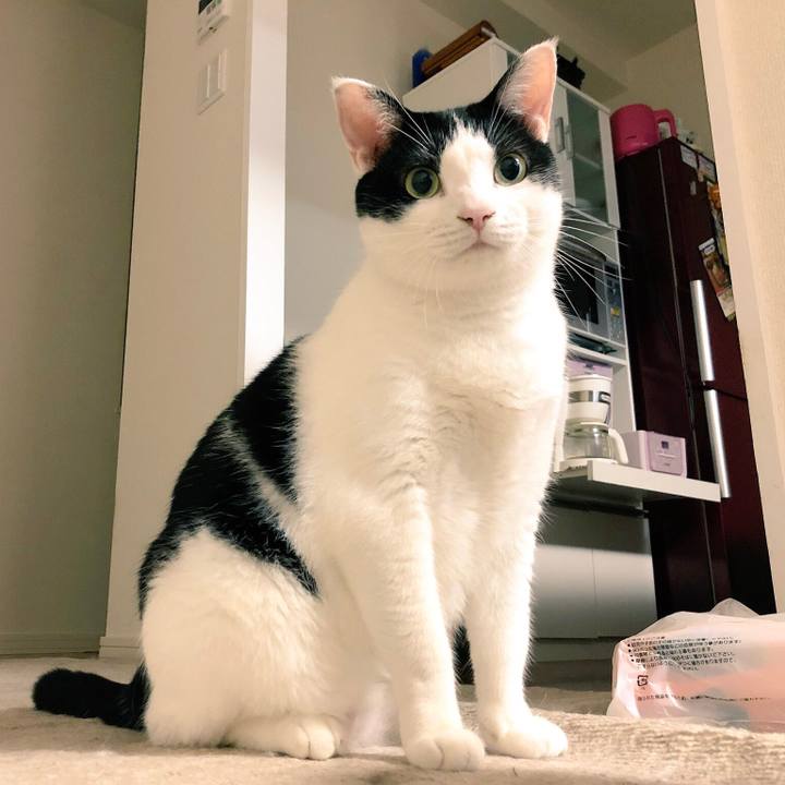 A11b7898 6ffd 4e2b 916f 5b748114242a 1537847849543