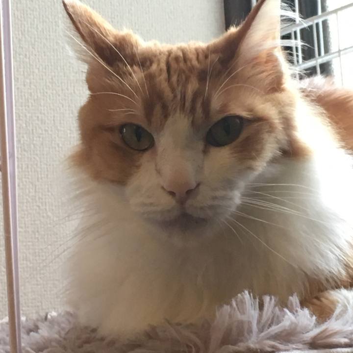 A11b86b0 12ab 4baa a2ac 1b75c5e0f907 1578878759858