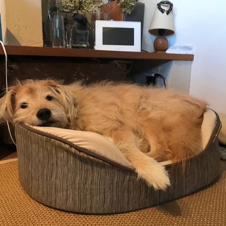 A11be360 ecca 4bf7 adb1 429808aaba38 1580366582237