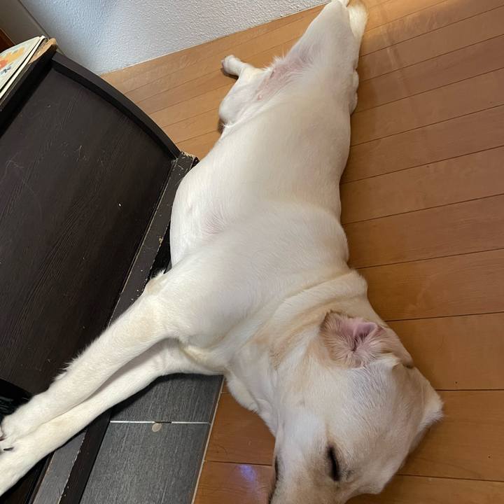 A11bec64 40b3 4d58 a73e 6ae16fa2fb8c 1654556794656