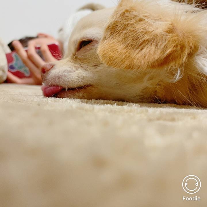 A11c0ba7 4716 487c 857d c586e06d2997 1609230315556