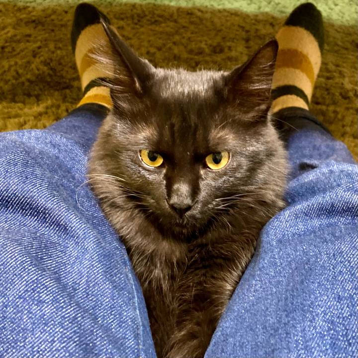 A11c3a44 4ceb 4c46 9e75 51fc05decbba 1710318455668