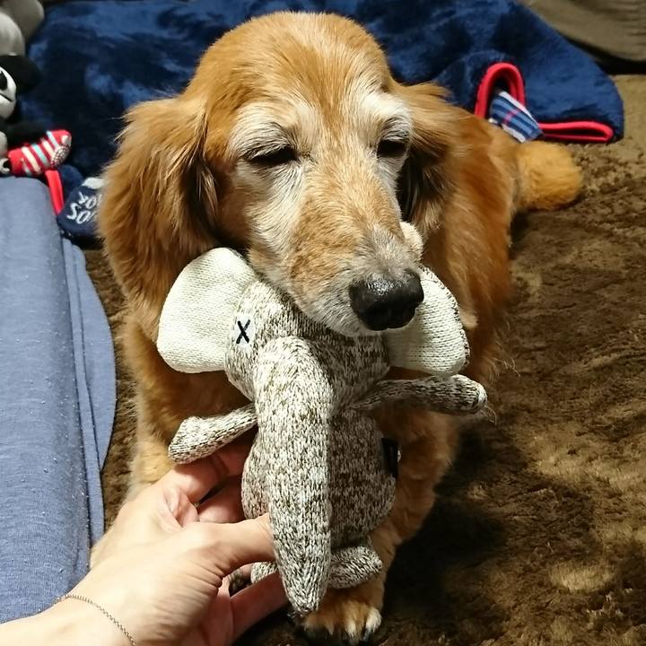 A11c633f aad2 4dd1 bae3 c34a3f407142 1511939592162