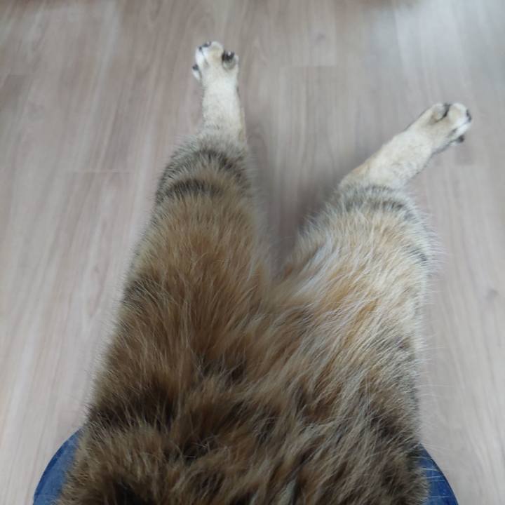 A11c7035 bc96 481b b16a 7beab9145d65 1671141632469