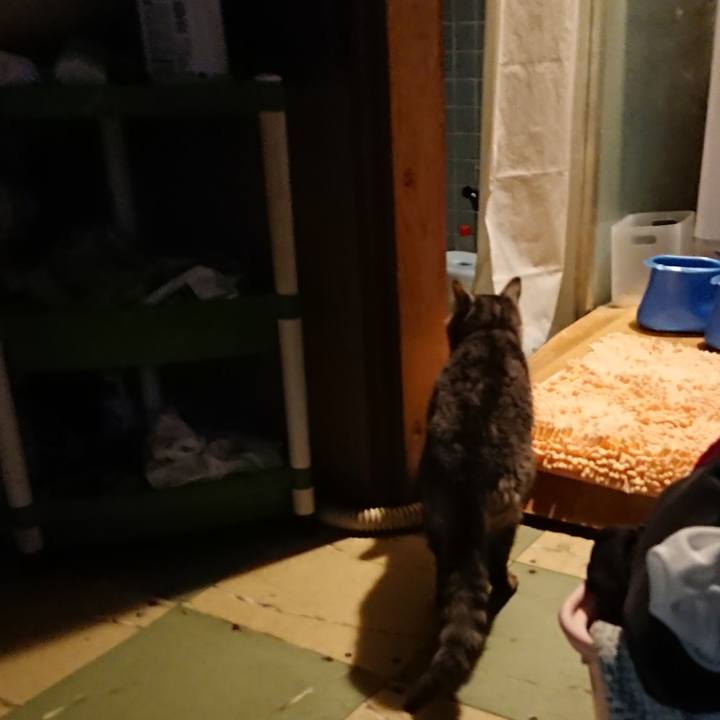 A11cbf13 ad76 4b41 a0b4 30af794646ea 1580376341149