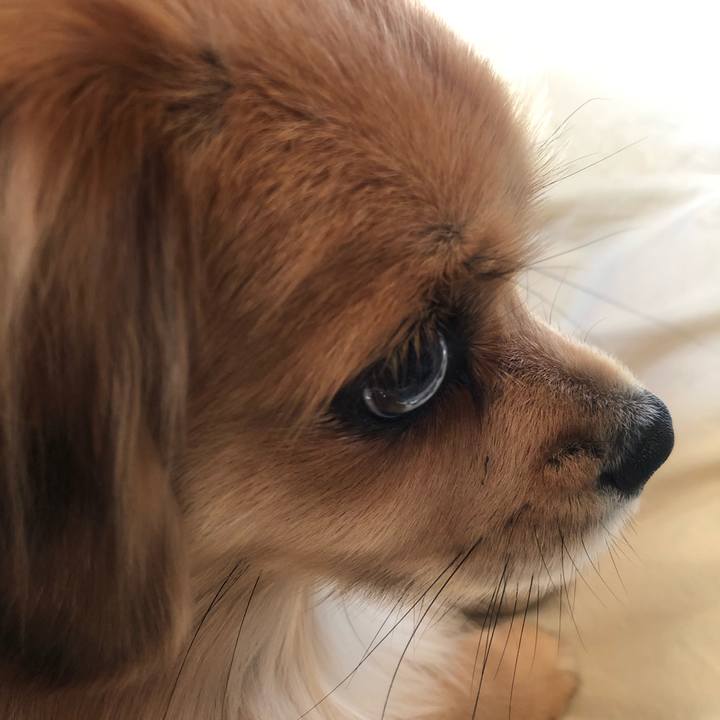 A11d24d3 ef41 4e18 b5e4 c07713ea690a 1542751624701