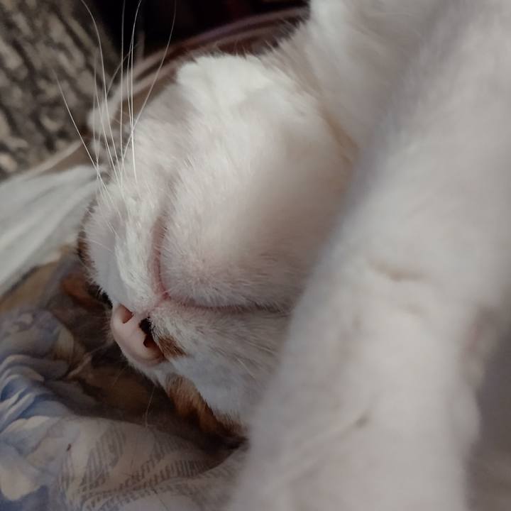 A11d5f18 19a4 4996 a207 656937d71e93 1623536743801