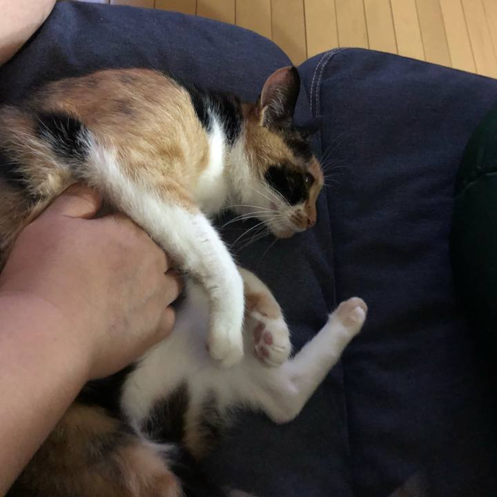 A11d69d7 bef5 4154 93ab 22c60873f19b 1530362146154