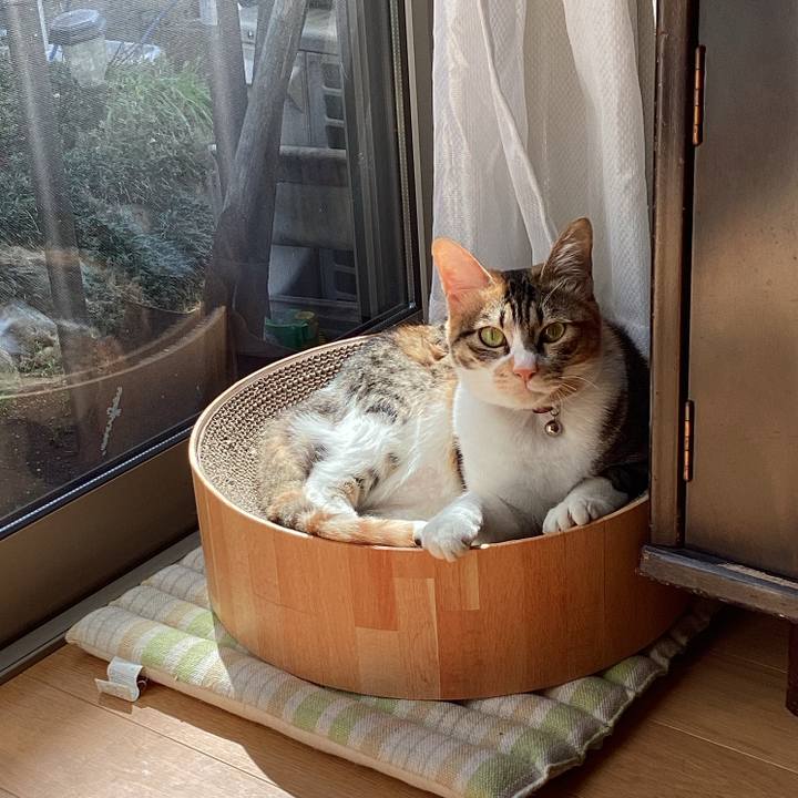 A11d6ba5 a0b6 437a b1c8 bf494f419a60 1679285323989