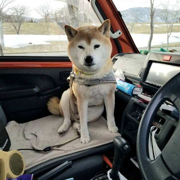 A11dc1ec f5cd 4d84 9a8f a6b12019cfd3 1679295847901