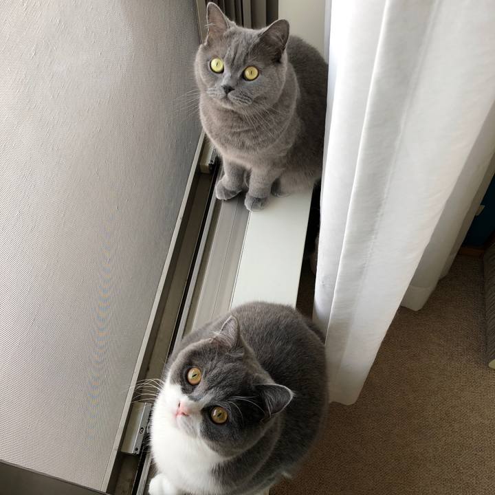 A11deabc af5d 4d73 8d00 d91a6189d351 1524839930493