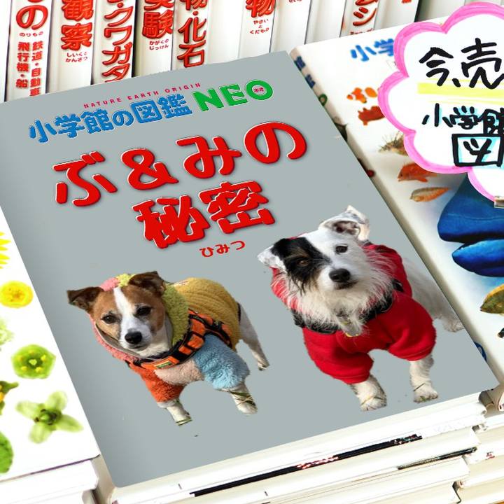 A11e014d f03b 4ea1 b1a5 3a928a2c4672 1578284103573