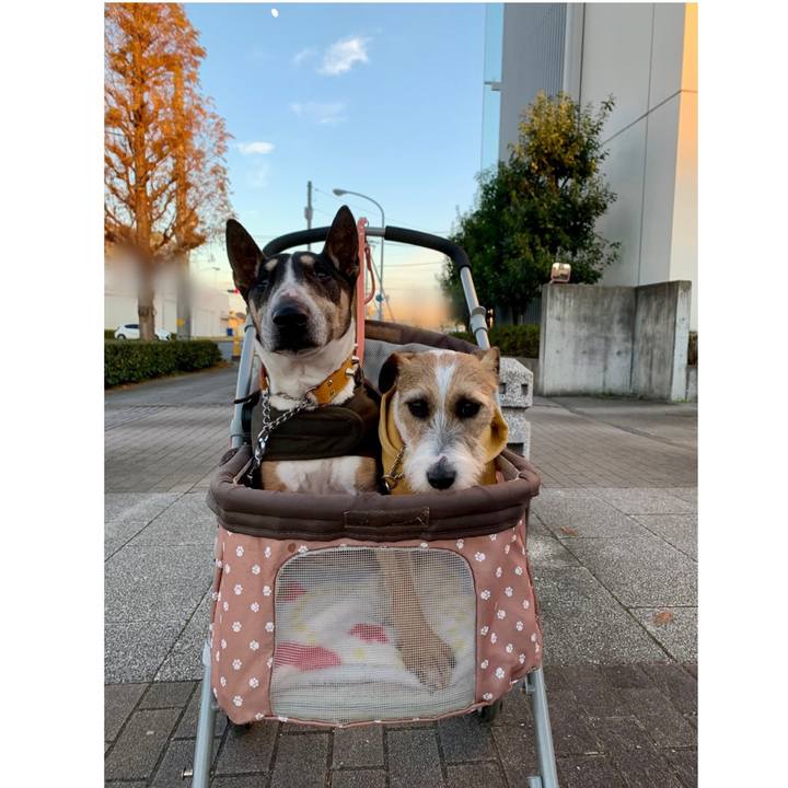 A11e1c2a 0281 4af5 bb9f fc53b0baaa51 1608973791744