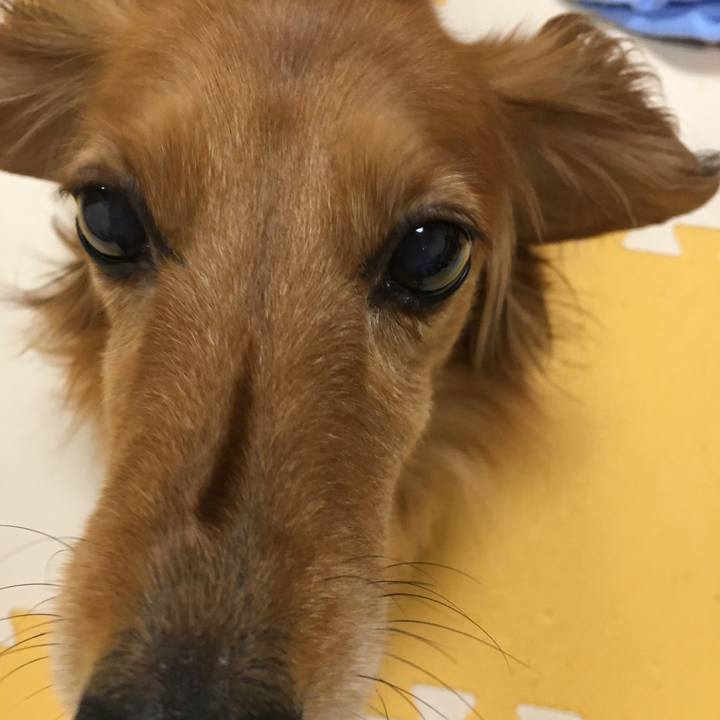 A11e2306 8c65 4d31 a260 2e33f6a0f975 1560691938598