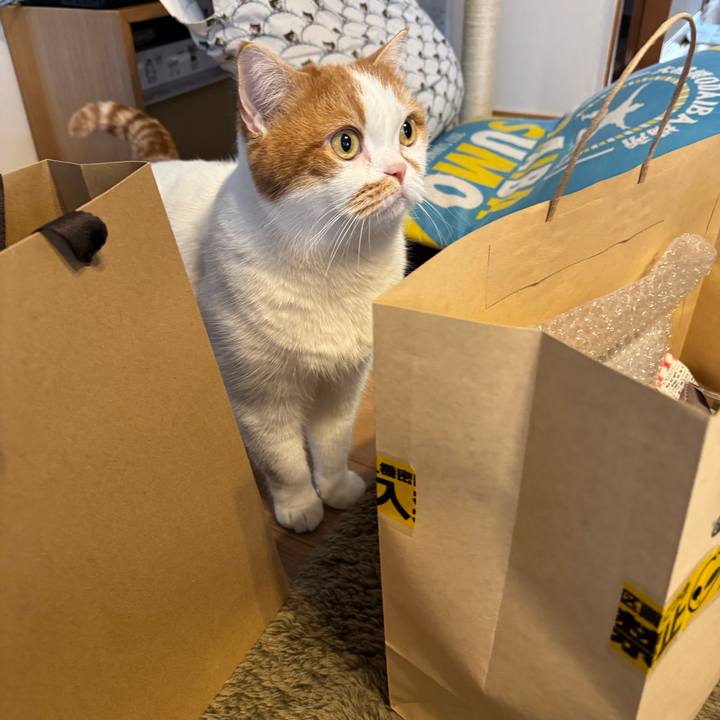 A11e23c0 bb46 48cf ae96 b9e828763b89 1766733760506