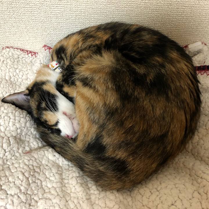 A11e60ad 8369 4979 b532 0414e4ee06df 1577271511849