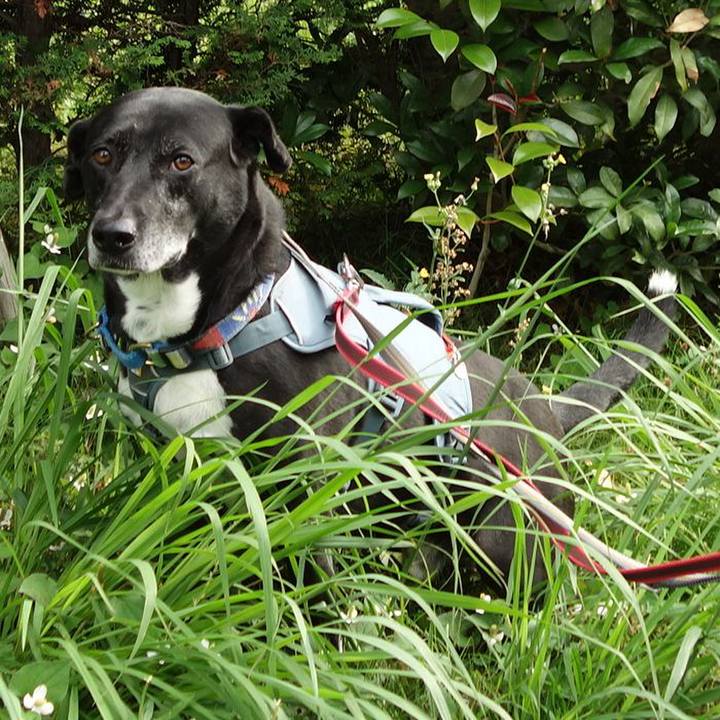 A11e65f0 7d0e 4d55 bc6c e86a28c49801 1717201245319