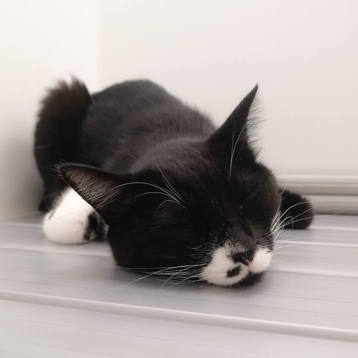 A11e9de9 a5ad 48d9 9f2f 8420f651ffb1 1545236673380