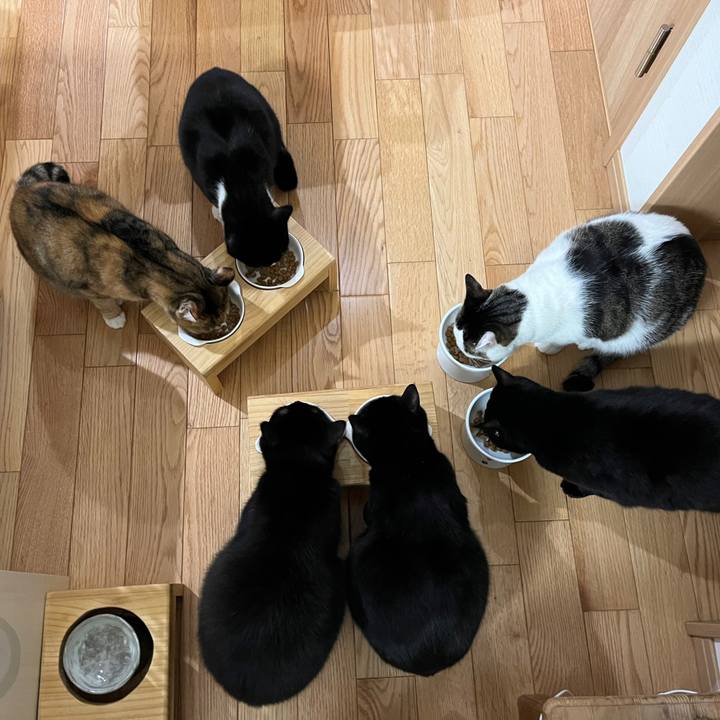 A11eb09d 9c06 4bd1 9529 e3b12878ff4c 1643586835821