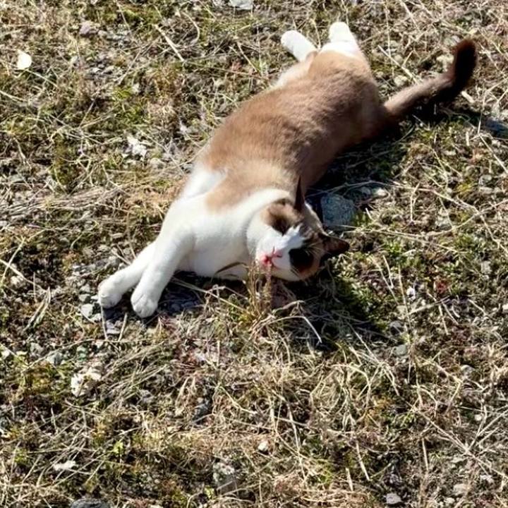 A11ec130 ba62 4c6d b98c 1886d4df50c8 1771685403620