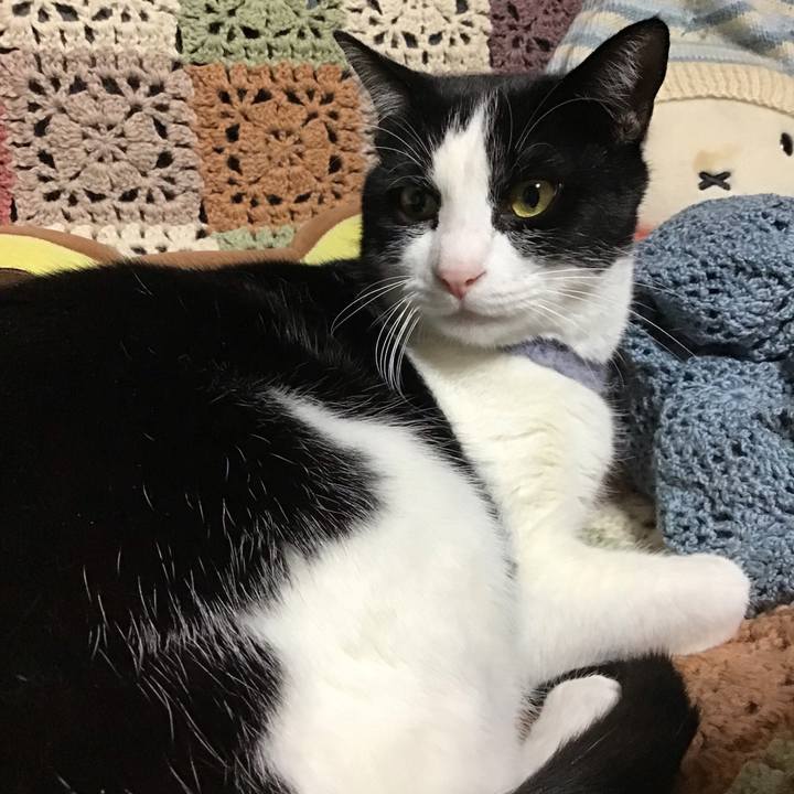 A11ee31d 0570 4d52 9e7d ecc0586c812f 1671194872958