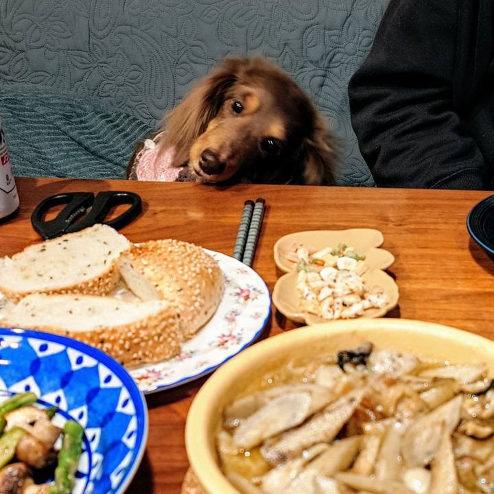 A11f0ea5 78df 46a7 92bb 3a8be03512ef 1742048966486