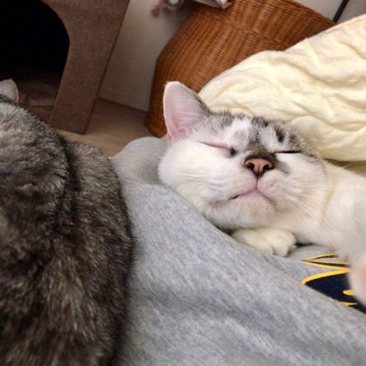 A11f0ed5 ec3f 49a9 9f70 c8ad46e4b3ab 1544396065472