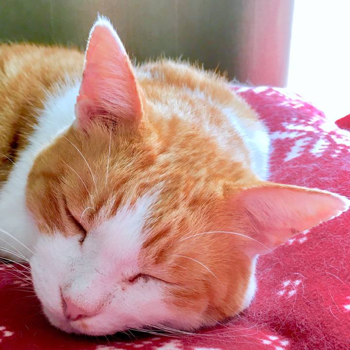 A11f25e4 615b 4a5e 8f7a 91639dc31743 1571209858337