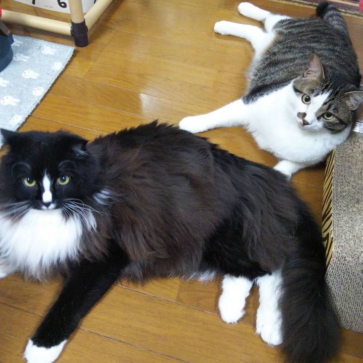 A11f56d4 5de6 4a71 974c f994f1351511 1661778392735