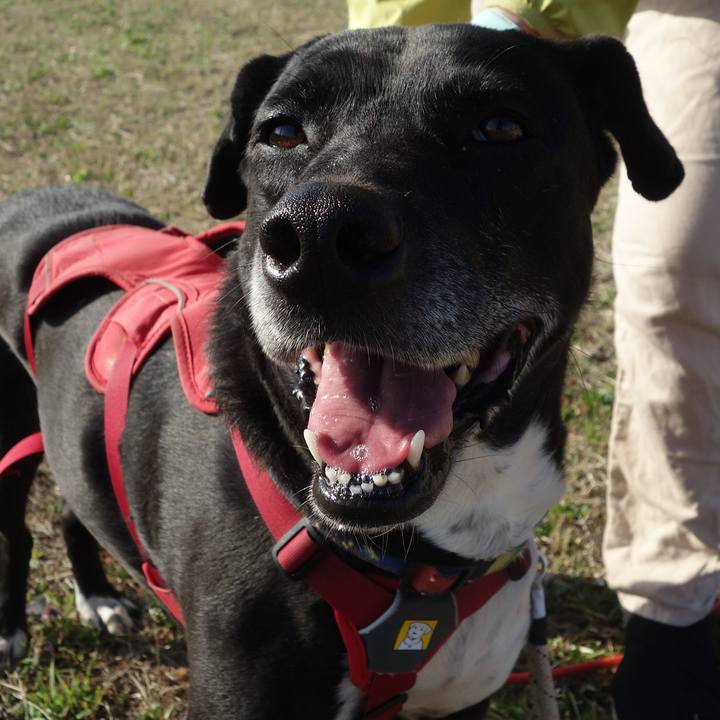 A11fab0b 25b8 4031 befe 94e00c345982 1678843374307